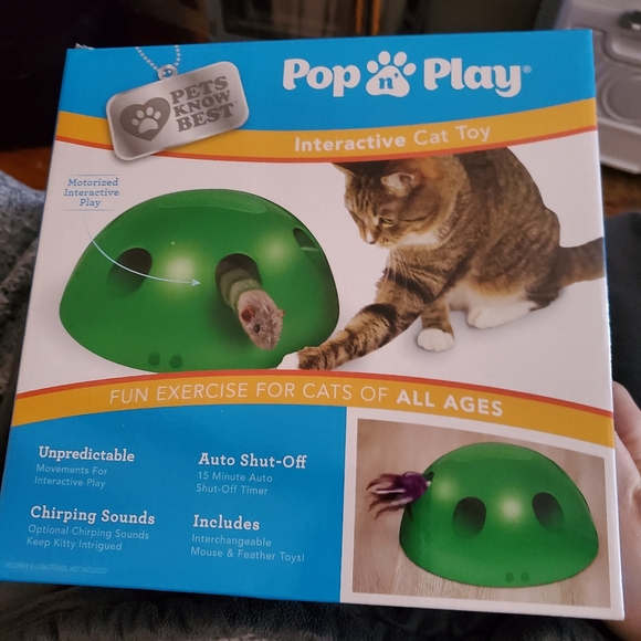 Pets Know Best Pop N Play Interactive Cat Motion Toy, Green - Picture 8 of 12